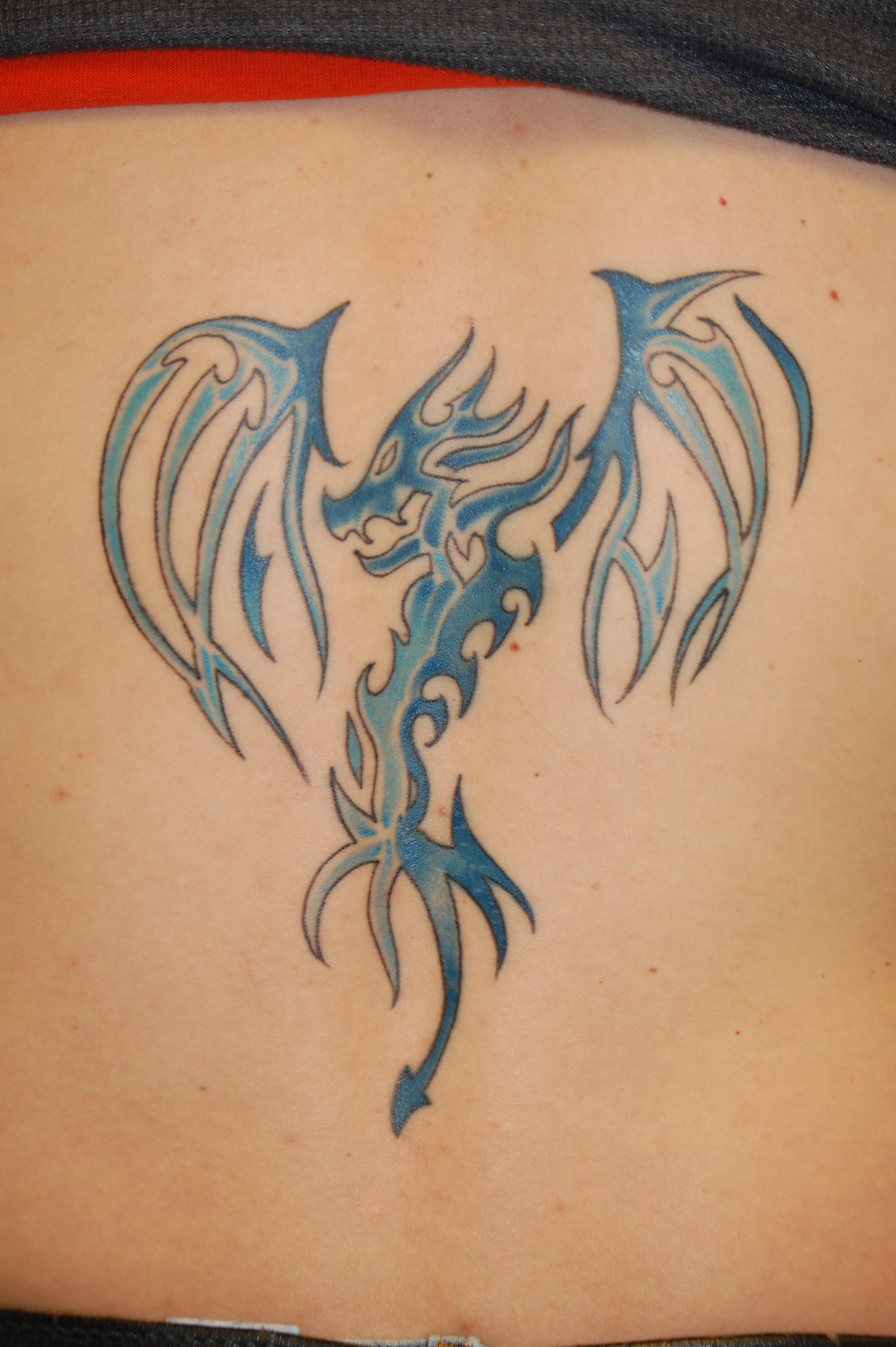 Celtic Dragon Tattoo