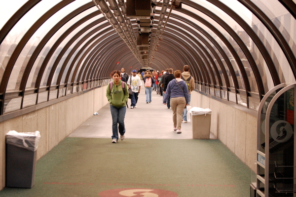 Students head to class on the first day --Photo by Rusty Pate