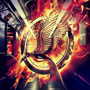 mockingjay photo