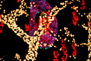 ChristmasLights-bokeh