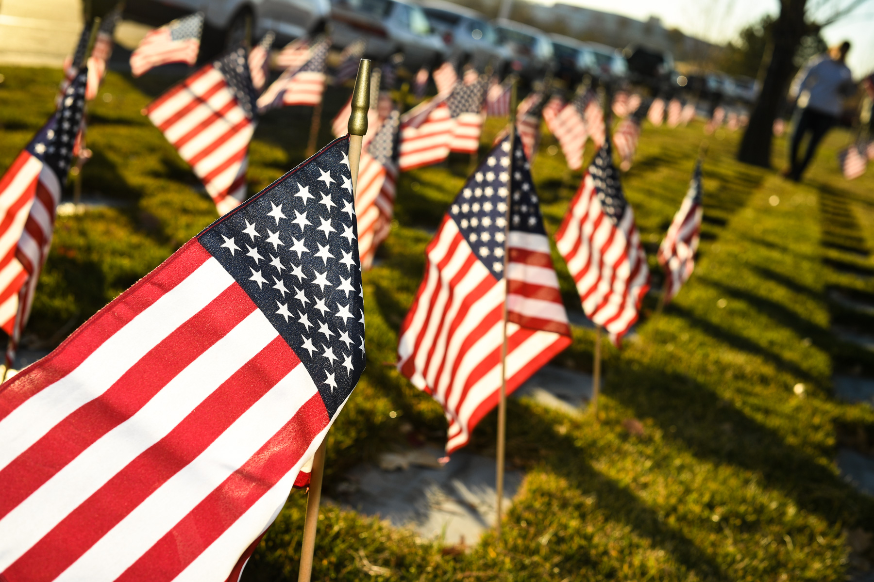 Veterans day. День ветеранов в США. Memorial Day in the USA. Американский до. Veterans Day in USA School.