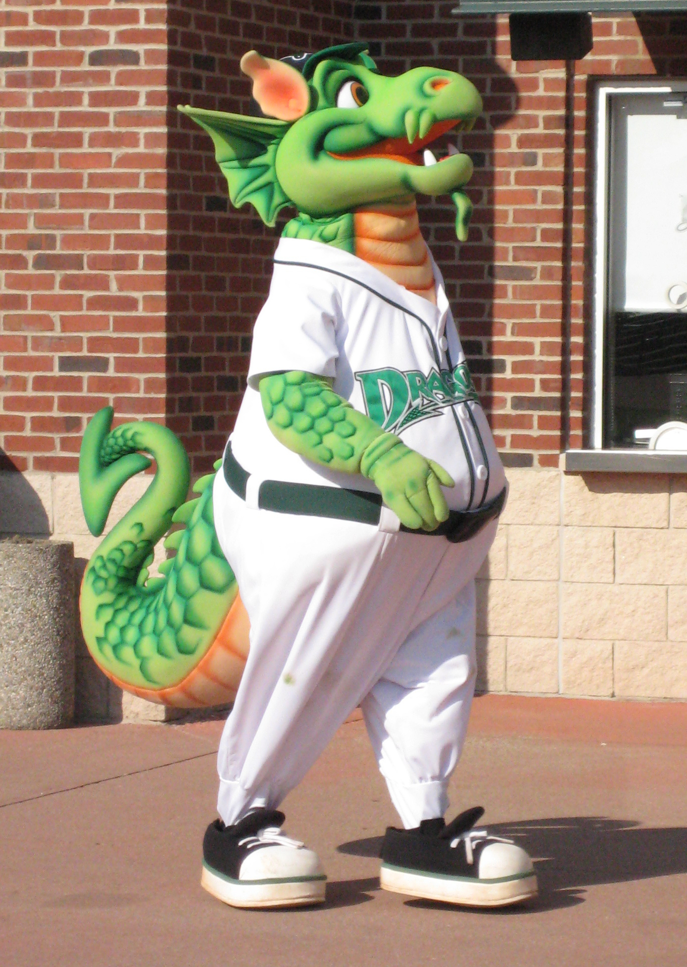 Dayton_Dragons